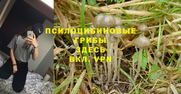 spice Сосновый Бор
