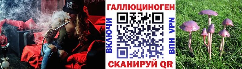 даркнет сайт  Калач  Галлюциногенные грибы MAGIC MUSHROOMS 