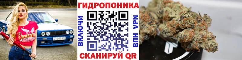 маркетплейс официальный сайт  Калач  Марихуана VHQ  наркота 